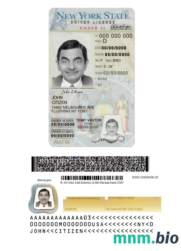 Prawo jazdy USA New York under 21 w formacie PSD